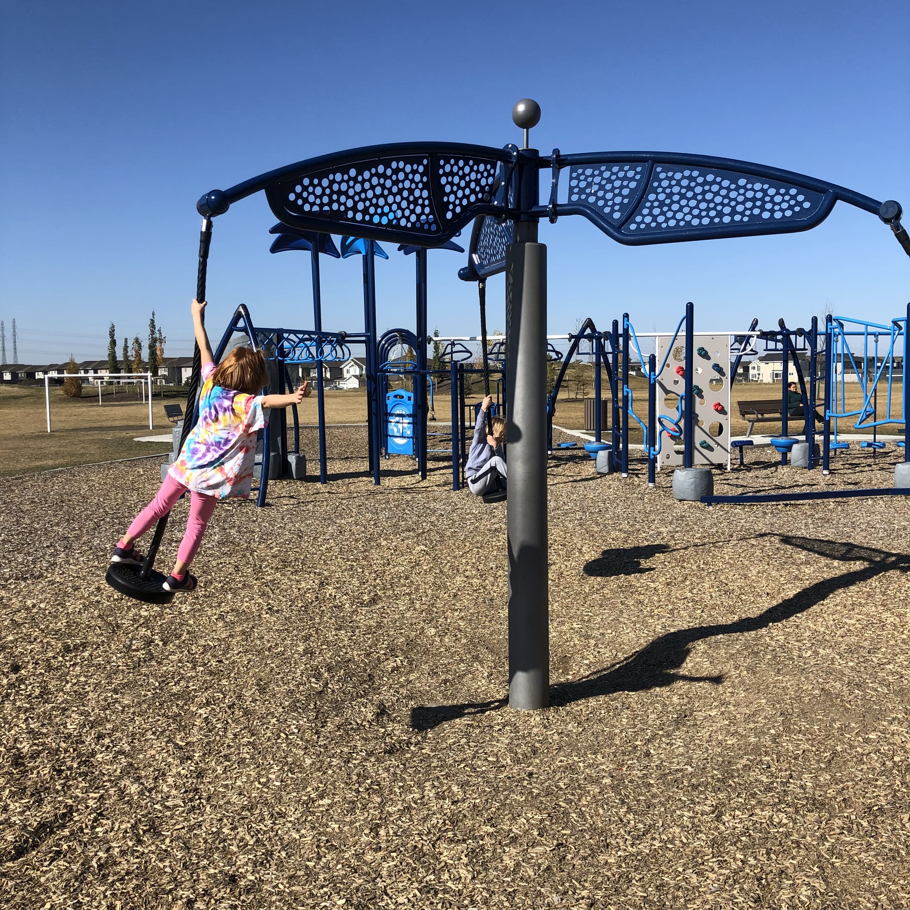 Svend Hanson School (Edmonton, AB) playground in Edmonton, AB - playground climbing structures