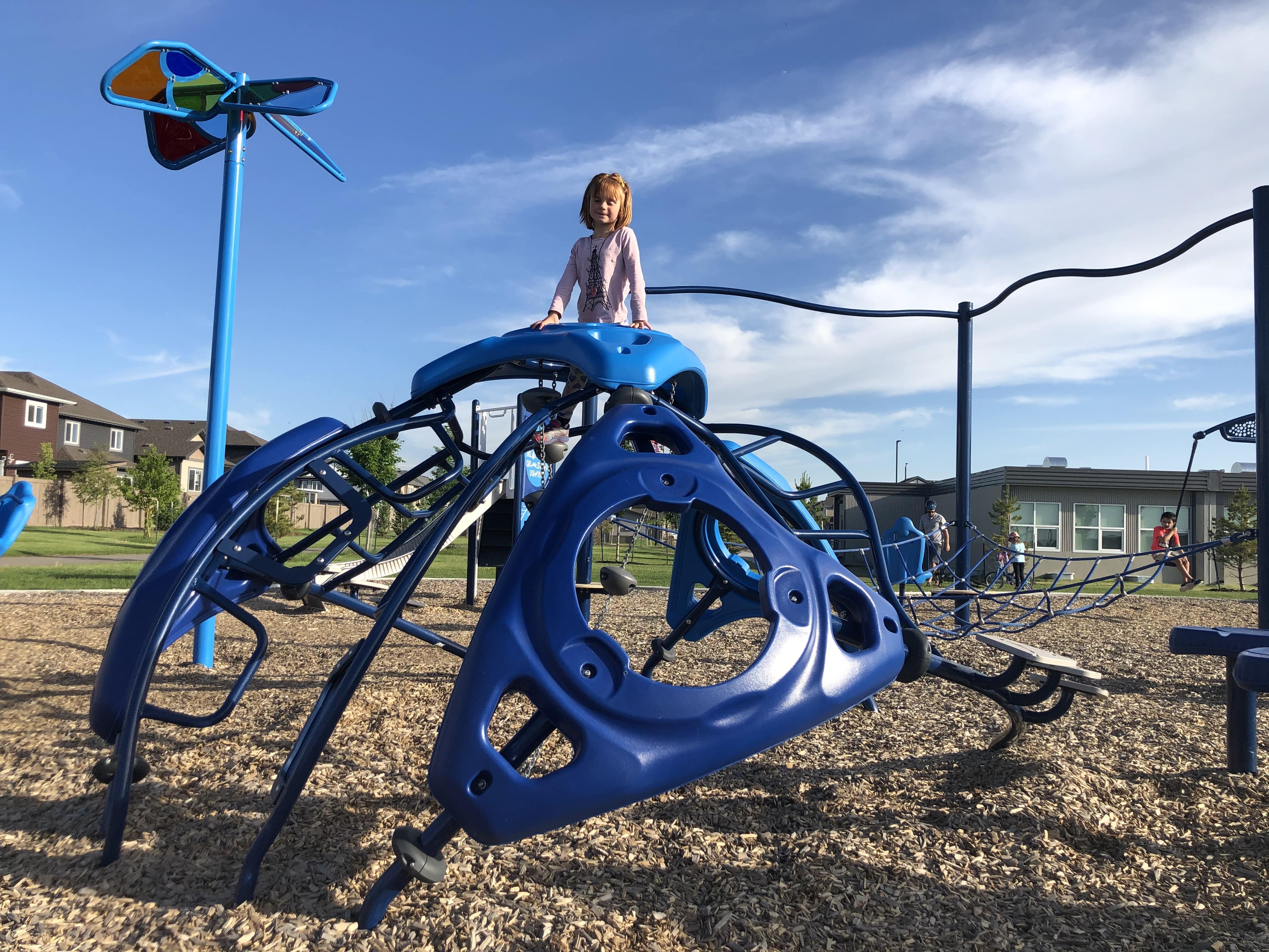 Svend Hanson School (Edmonton, AB) in Edmonton, AB - playground detail and design features