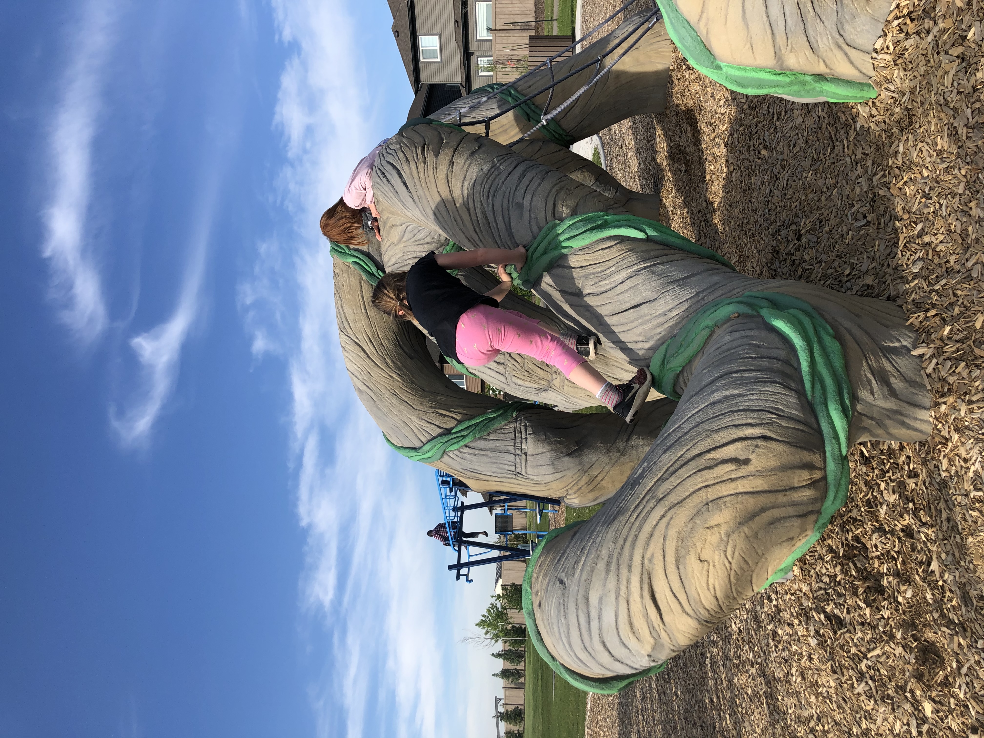 Svend Hanson School (Edmonton, AB) playground in Edmonton, AB - outdoor recreational equipment