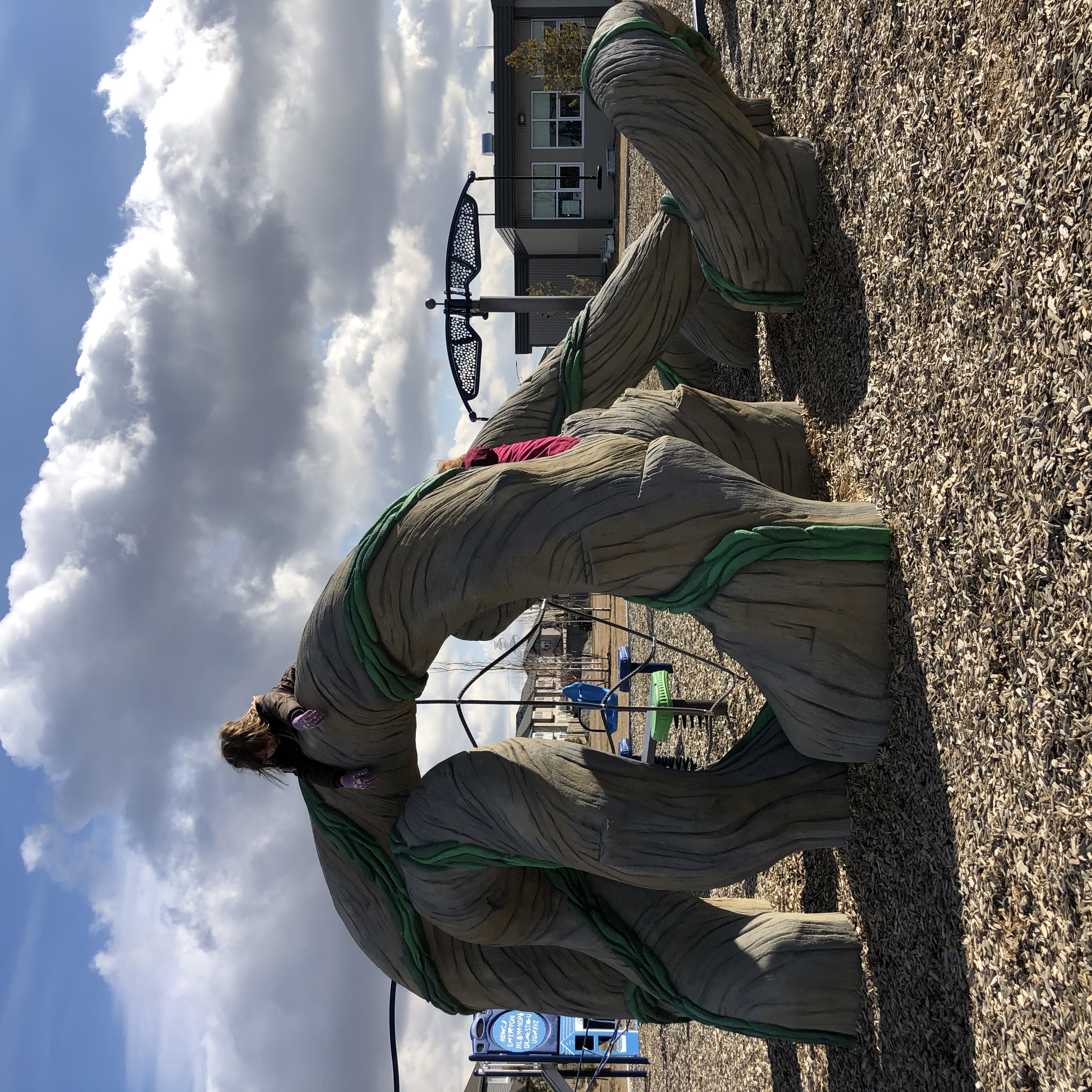 Svend Hanson School (Edmonton, AB) playground in Edmonton, AB - natural playground features