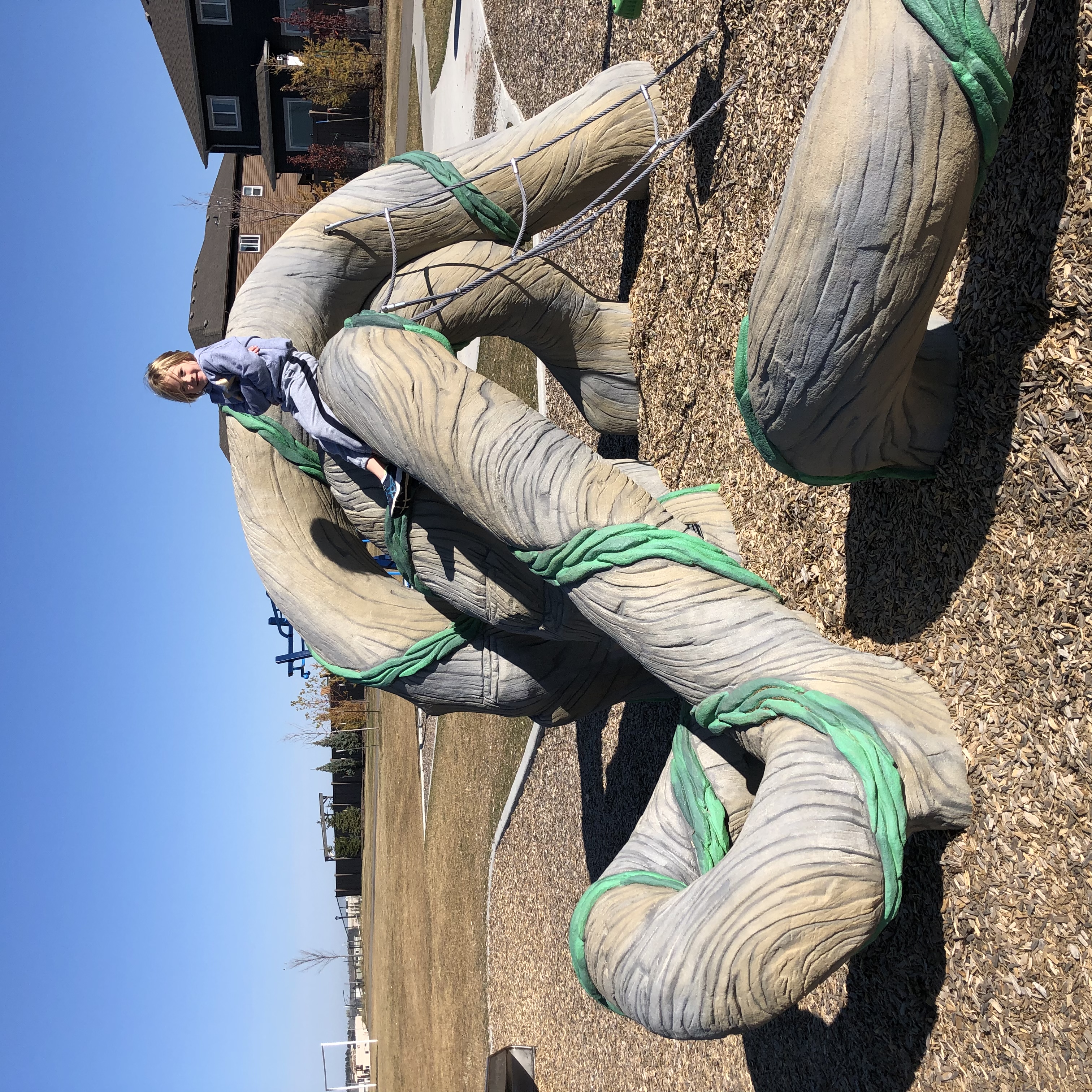 Svend Hanson School (Edmonton, AB) playground in Edmonton, AB - inclusive play equipment