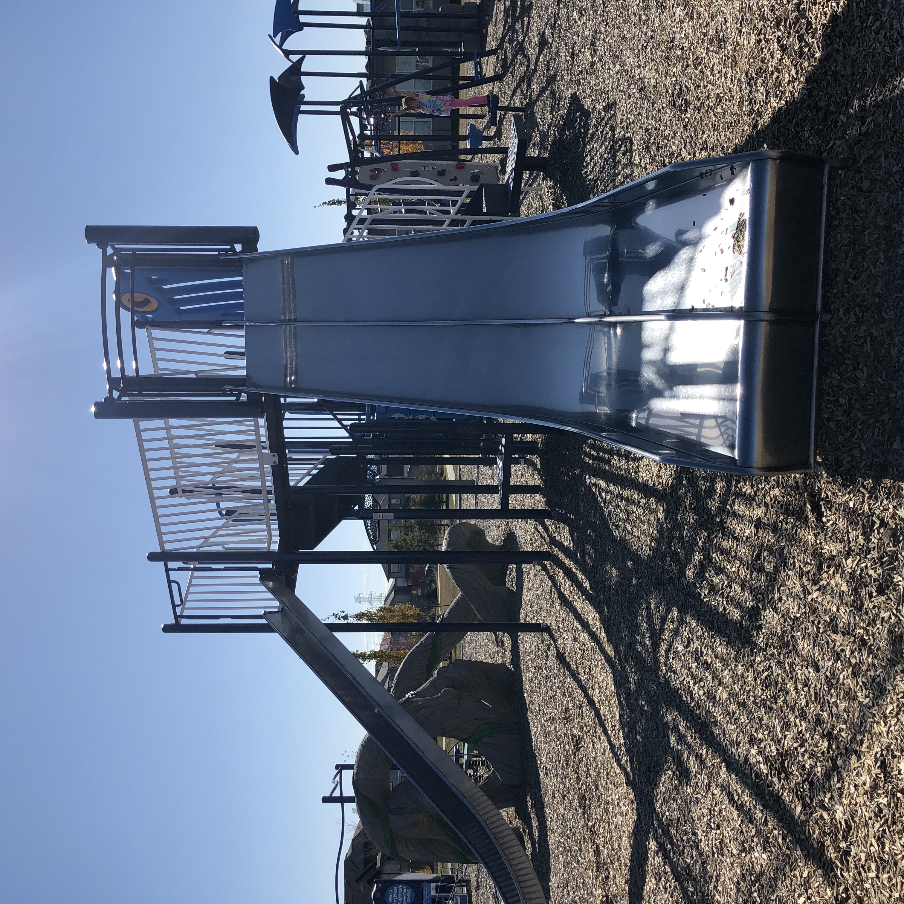 Svend Hanson School (Edmonton, AB) playground in Edmonton, AB - accessible playground features