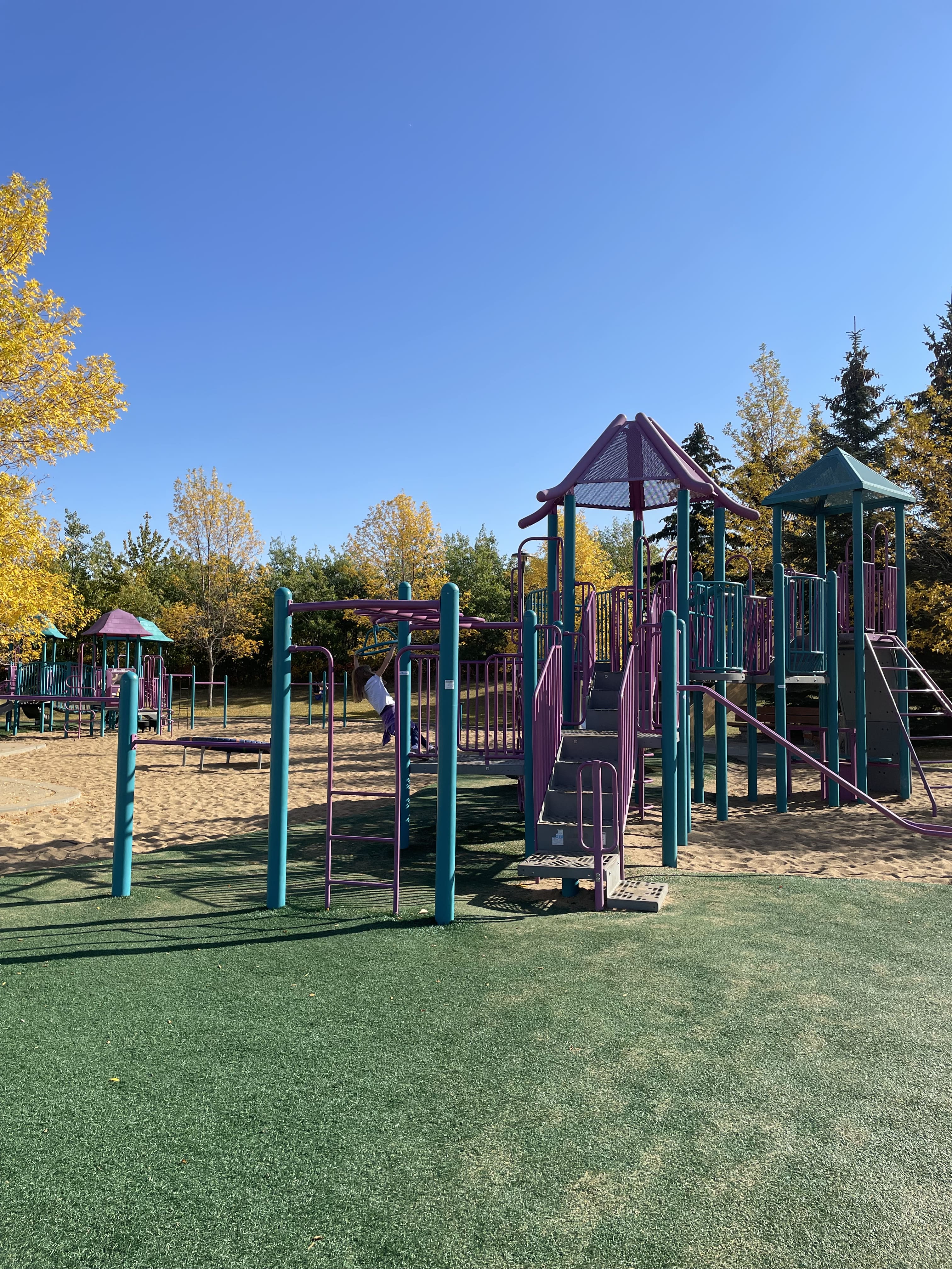 Falconer Heights Playground (Edmonton, AB) in Edmonton, AB - playground detail and design features