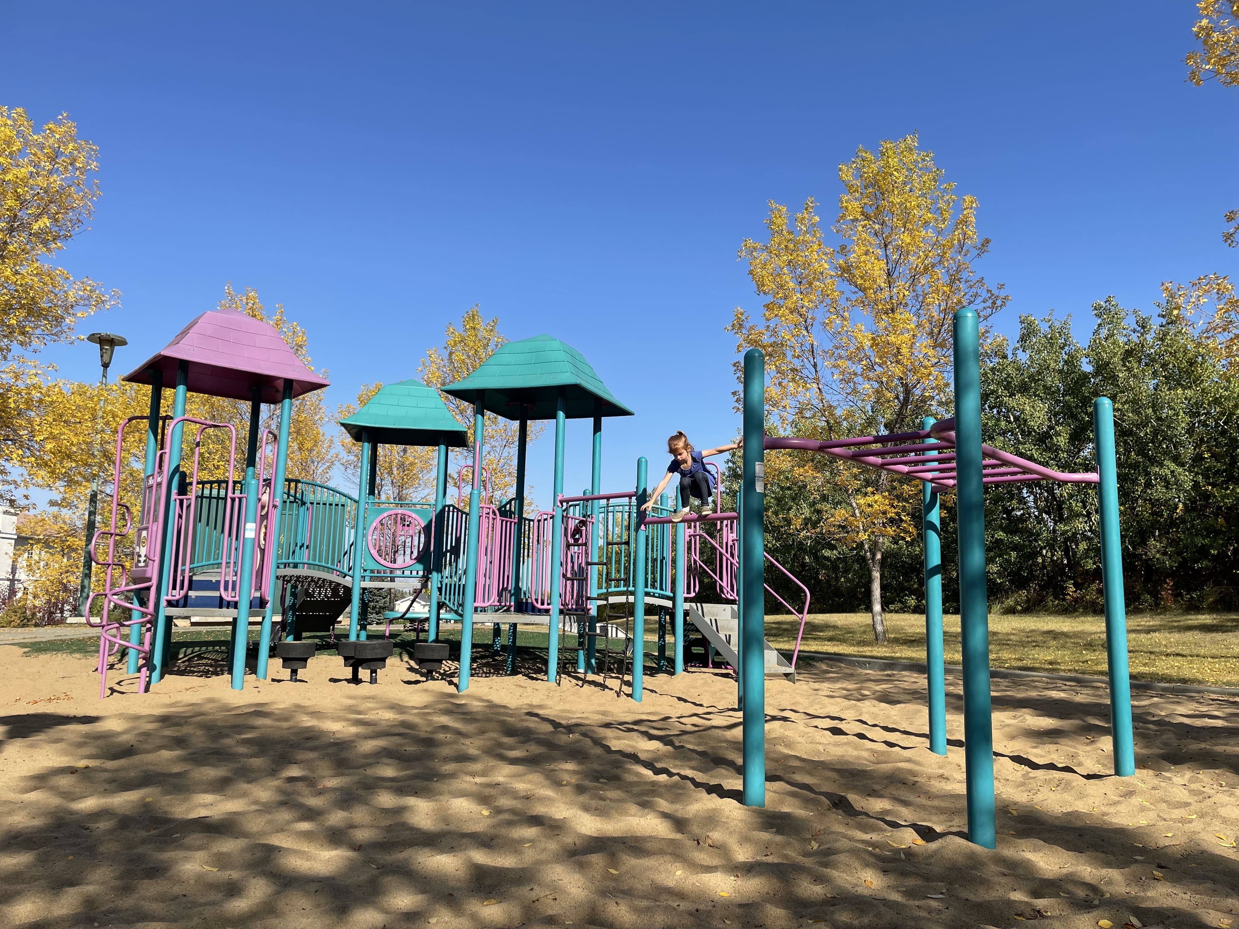 Falconer Heights Playground (Edmonton, AB) playground in Edmonton, AB - natural playground features