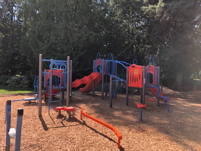 Westview Park (Maple Ridge, BC) playground - playground climbing structures