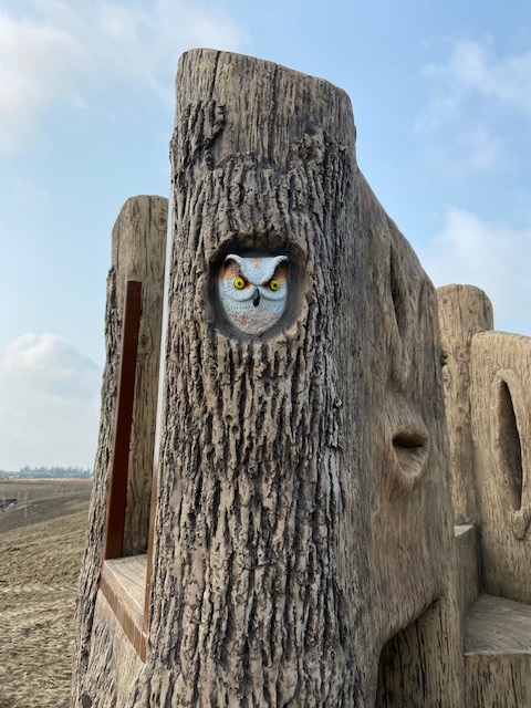 Uplands Playground (Edmonton, AB) playground in Edmonton, AB - playground swings and slides