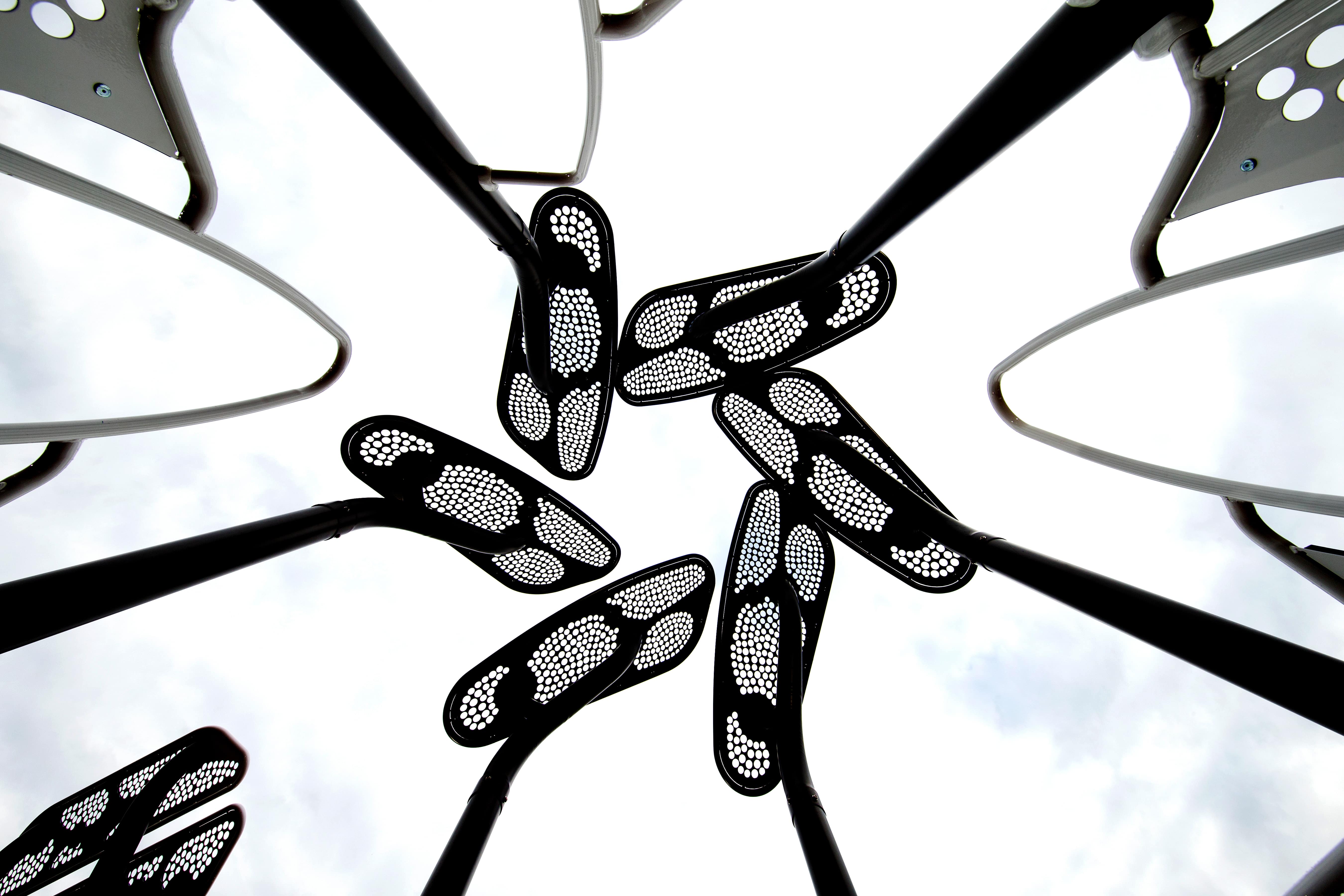 McConachie Subdivision (Edmonton, AB) playground in Edmonton, AB - natural playground features