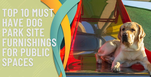Top 10 Must-Have Dog Park Site Furnishings for Public Spaces