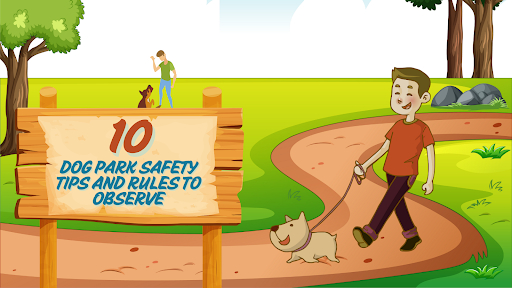 GT Wave equipment side profile