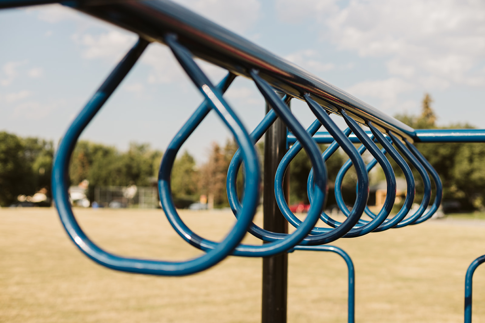 Close-up of blue teardrop-shaped hanging rungs aligned under a black top rail with blurred field and trees beyond.