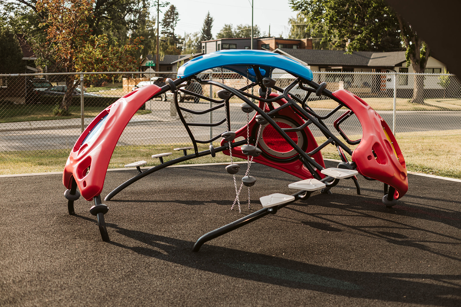 Low-angle view of a red-and-blue pod climber with a black tubular frame, chain hold elements and rounded stepping platforms, fence and houses behind.