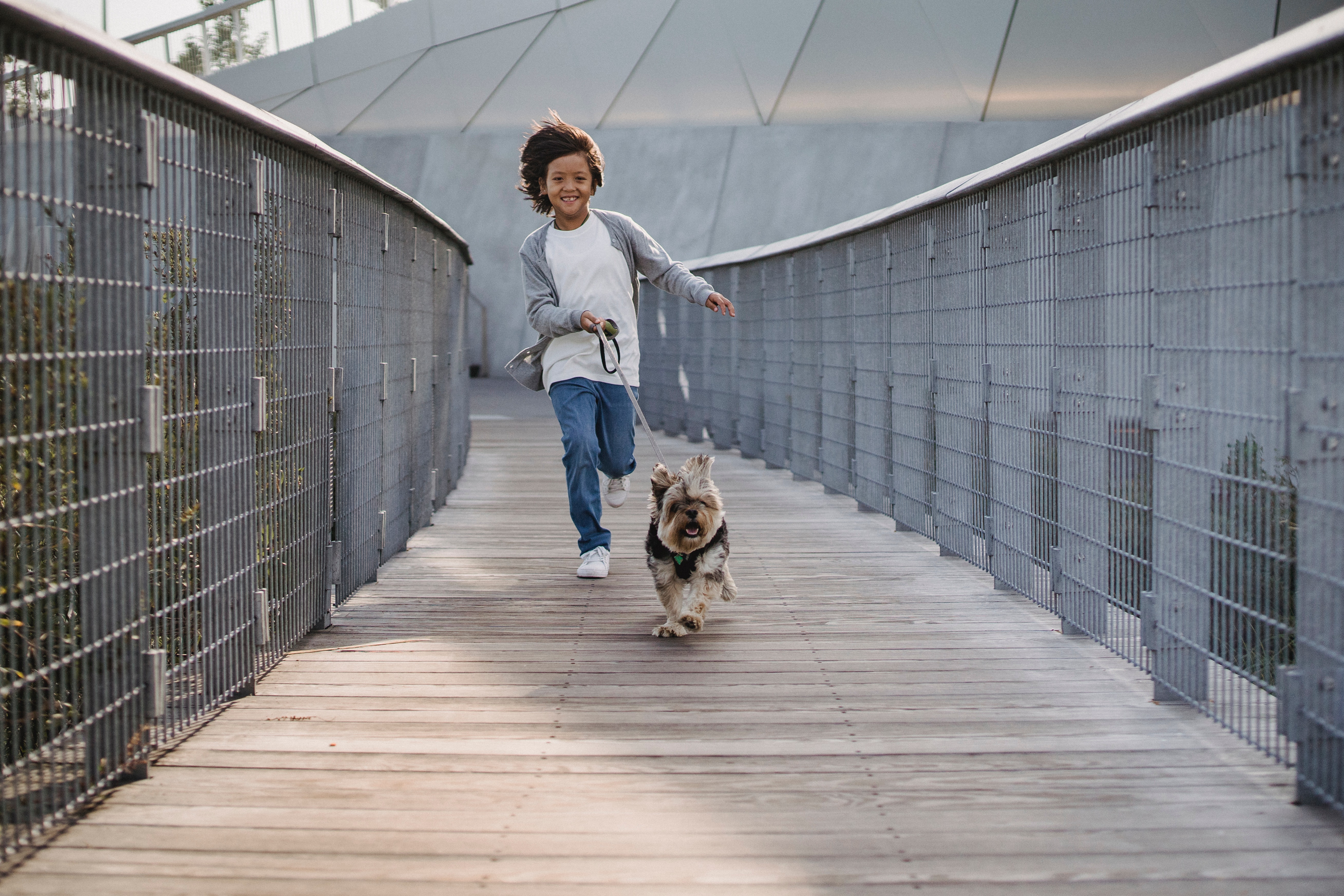 Young child runs joyfully across a wooden bridge as a small dog trots ahead on a leash
