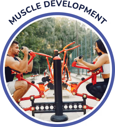 Muscle Development