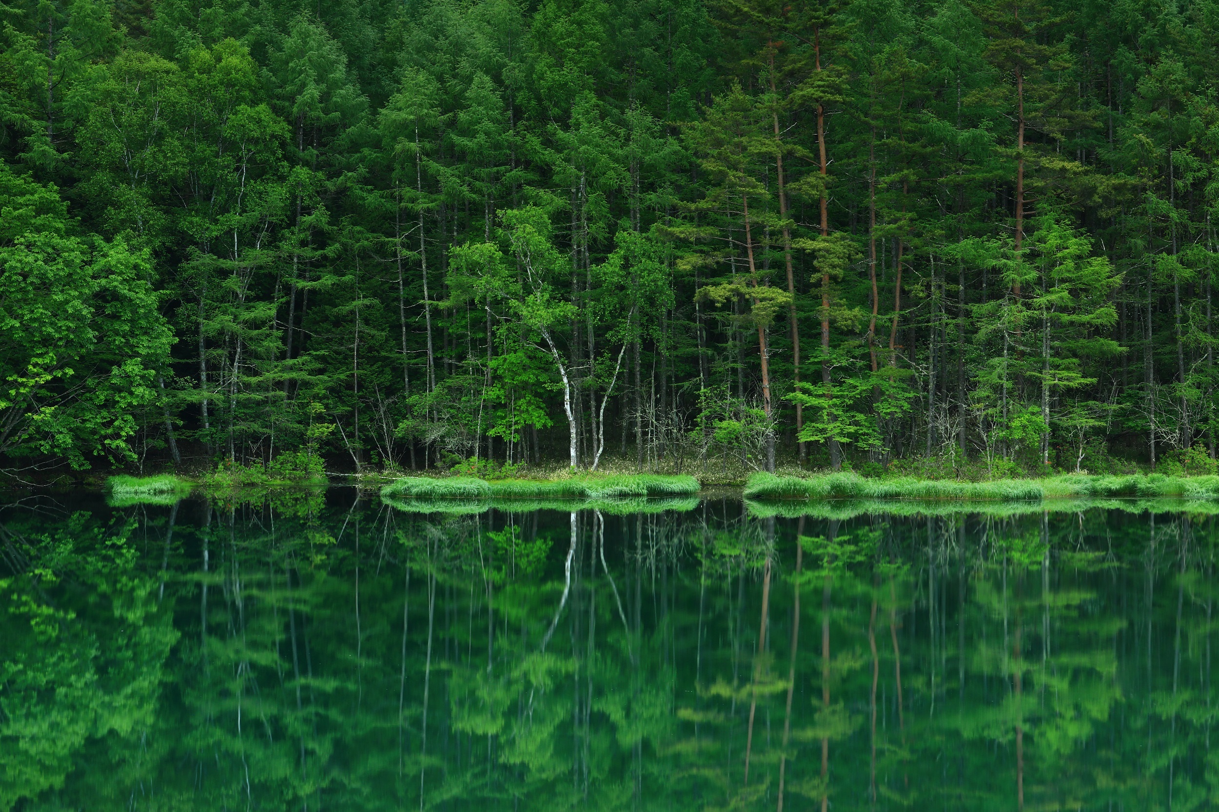 柏の風景3：秋の風景 | kamon かしわインフォメーションセンター
