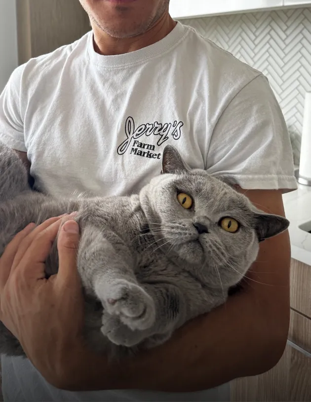 Rumple the cat looking concerned as their parent holds them.