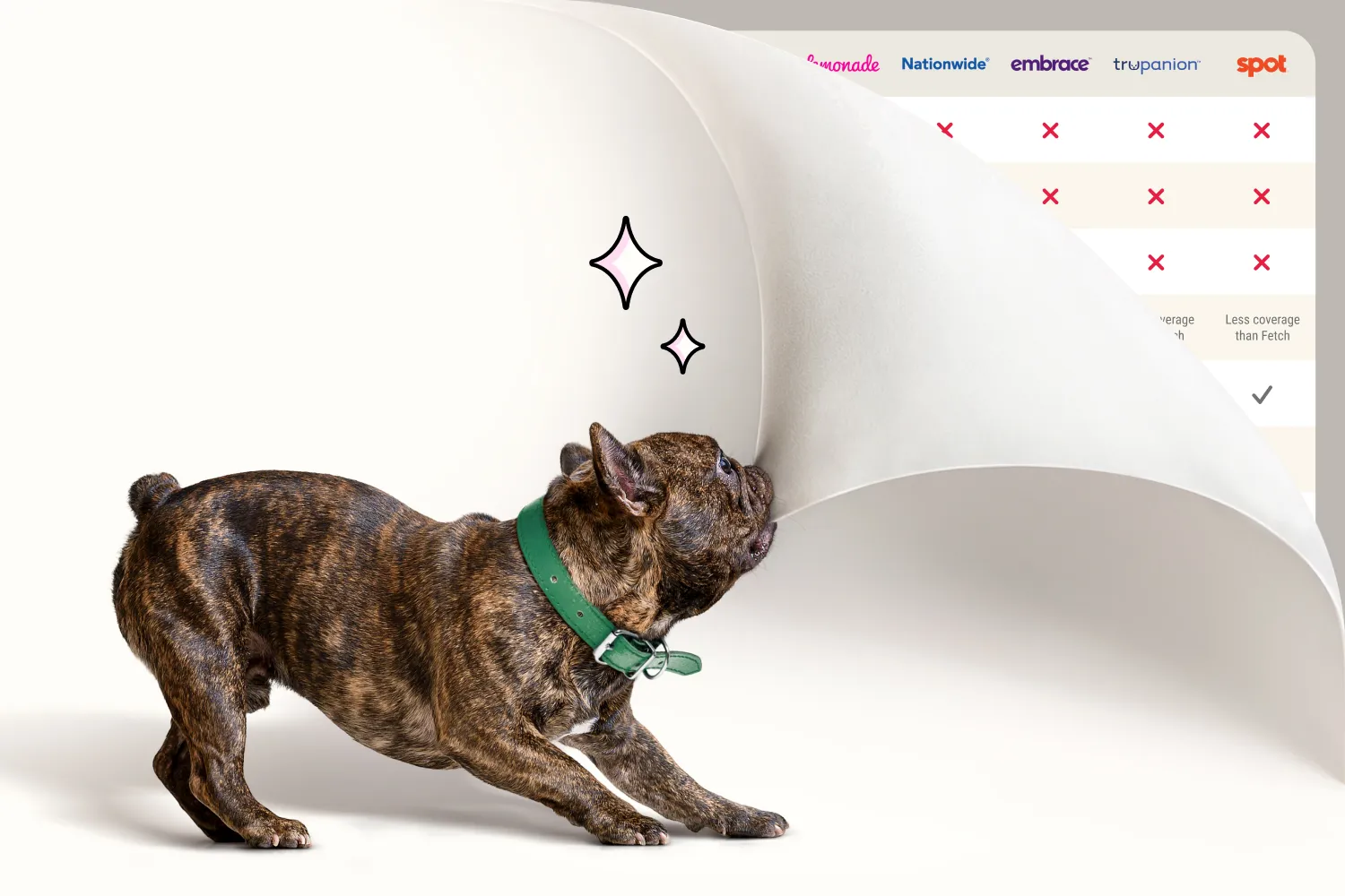 A French Bulldog biting the corner of the screen and pulling it back to reveal a comparison chart.