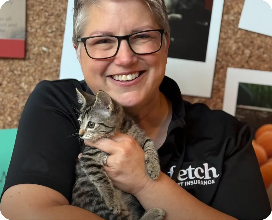 A Fetch shelter rep holding a cute kitten.
