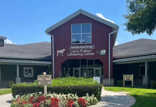Outside view of the Charleston Animal Society.
