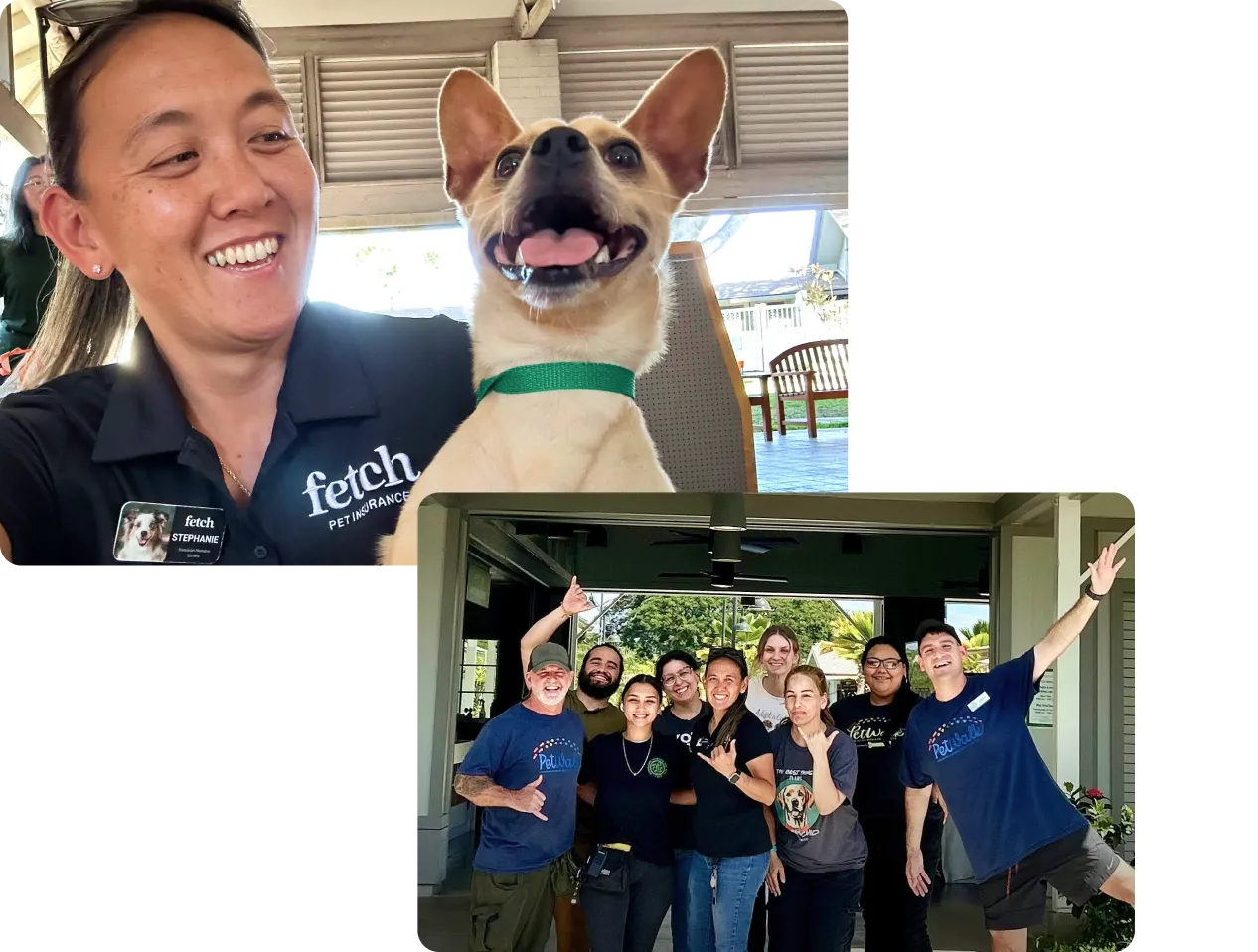 A collage of images featuring Fetch shelter reps and members of the Sacramento SPCA.