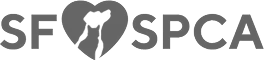 San Francisco SPCA
