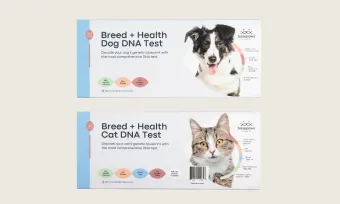 2 boxes for Basepaws DNA tests.