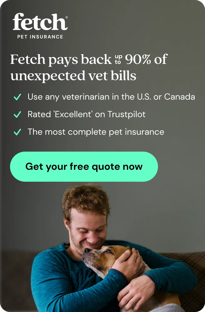 Fetch pays back up to 90% of unexpected vet bills. Get your free quote now.