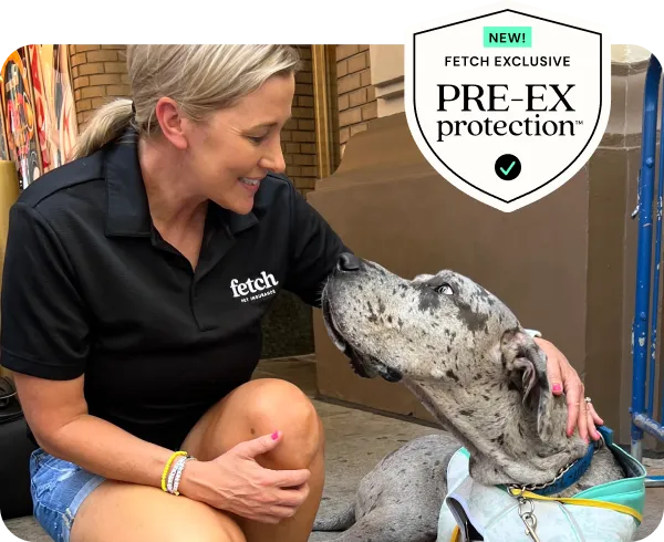 A Fetch employee with a shelter dog and a shield that says "NEW! Fetch Exclusive, PRE-EX protection".