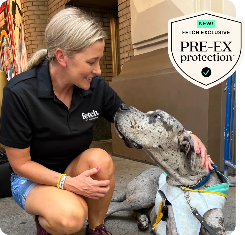 A Fetch employee with a shelter dog and a shield that says "NEW! Fetch Exclusive, PRE-EX protection".