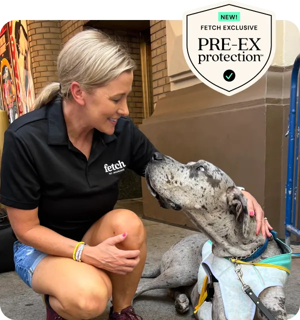 A Fetch employee with a shelter dog and a shield that says "NEW! Fetch Exclusive, PRE-EX protection".