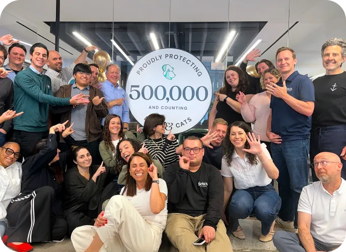 Several memebers of the Fetch team in front of a sign that says "Protecting over 500,000 Dogs & Cats".