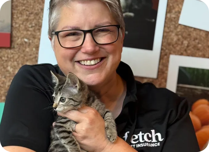 A Fetch employee holding a small kitten.