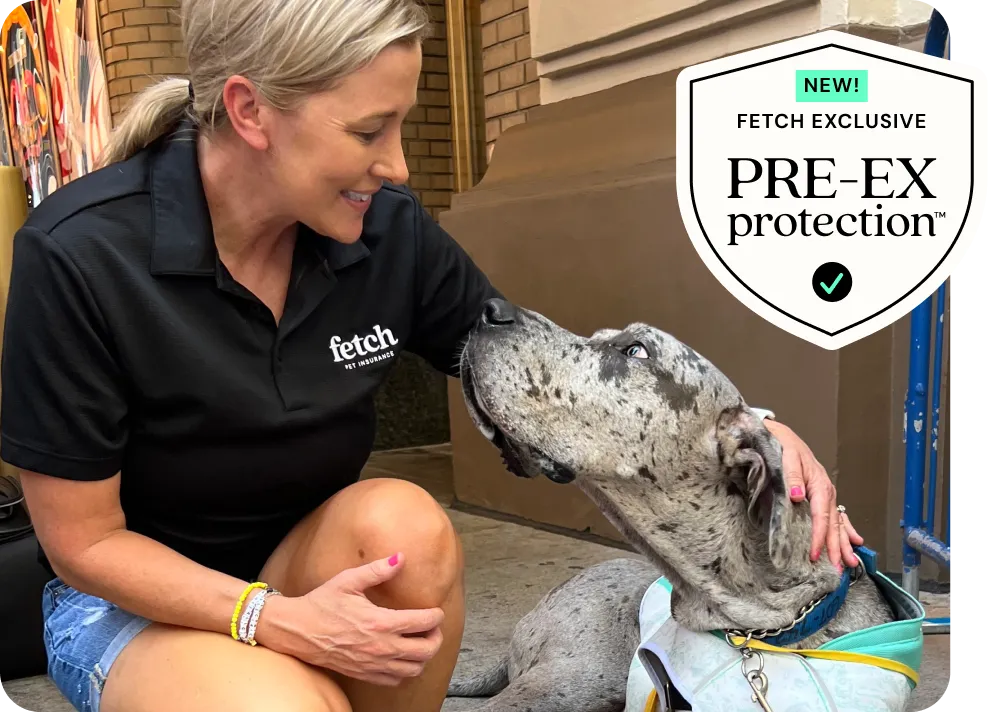 A Fetch employee with a shelter dog and a shield that says "NEW! Fetch Exclusive, PRE-EX protection".