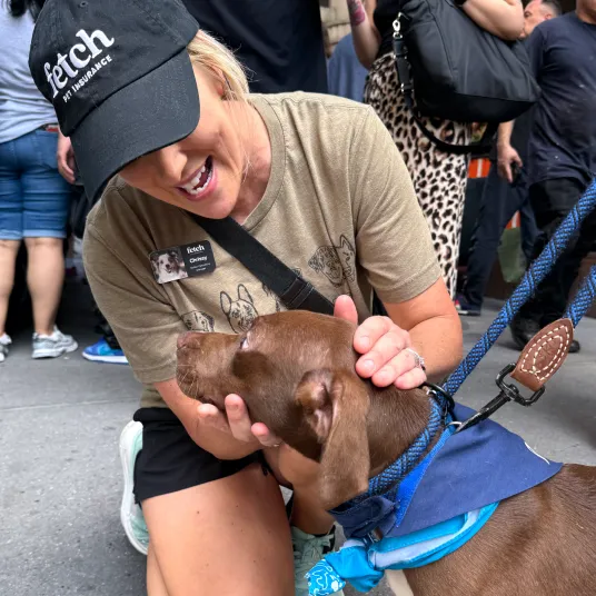 A Fetch employee petting a shelter dog.
