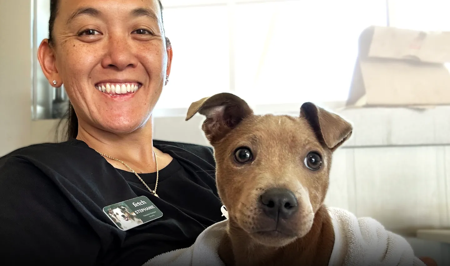 A Fetch employee with a cute puppy wrapped in a towel.