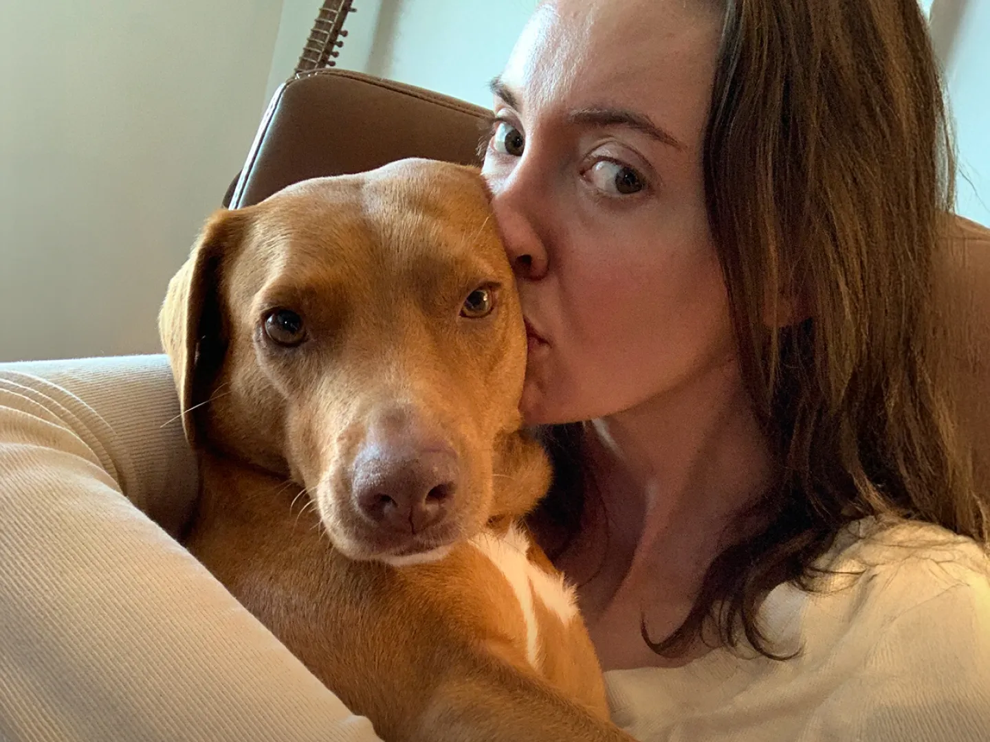A woman kissing her dog on the cheek.