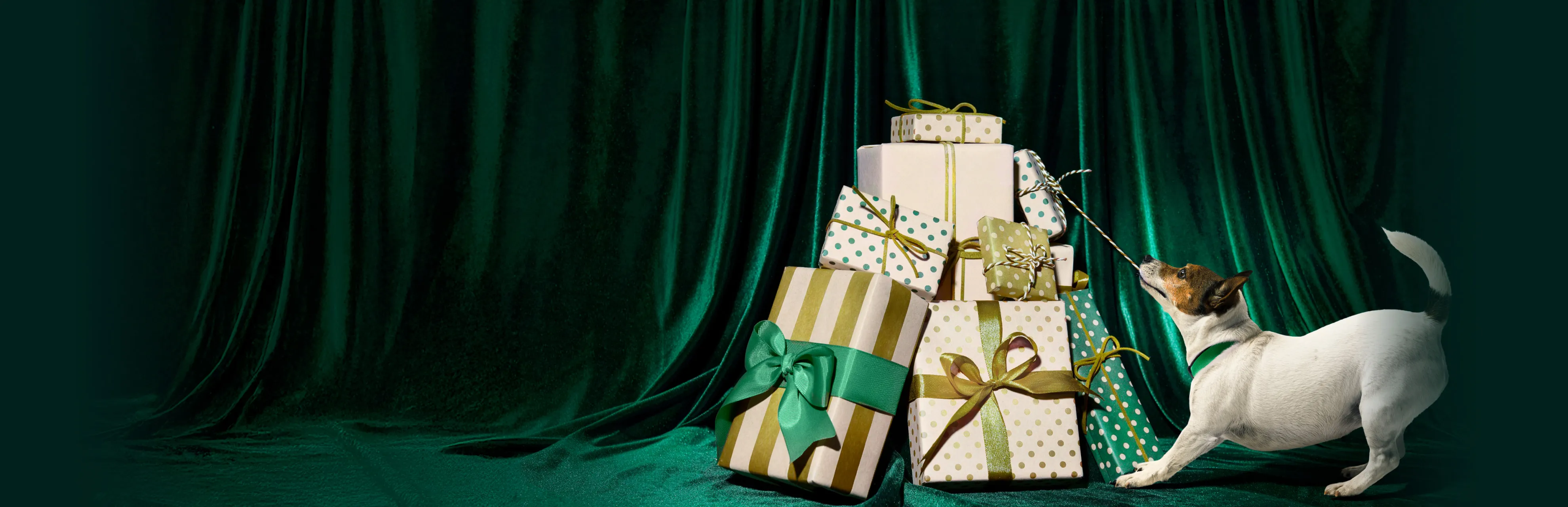A dog playing with a pile of presents.