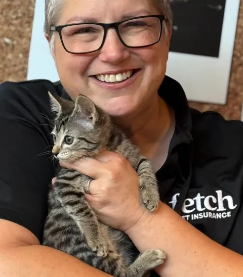 A Fetch shelter rep holding a cute kitten.
