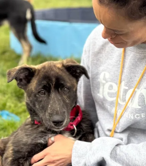 A Fetch shelter rep getting snuggled by a cute dog.