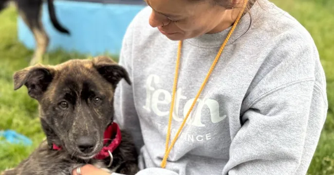 A Fetch shelter rep getting snuggled by a cute dog.