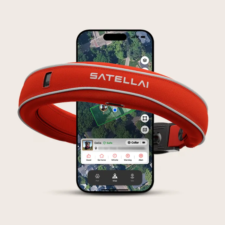 The Satellai product and app.