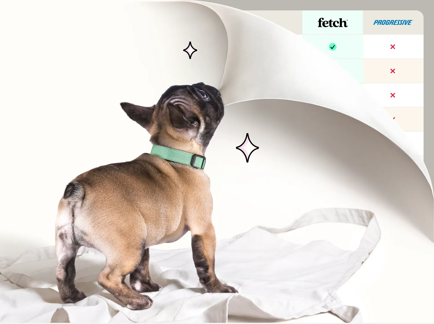 A small dog biting the corner of the screen and pulling it back to reveal a comparison chart.