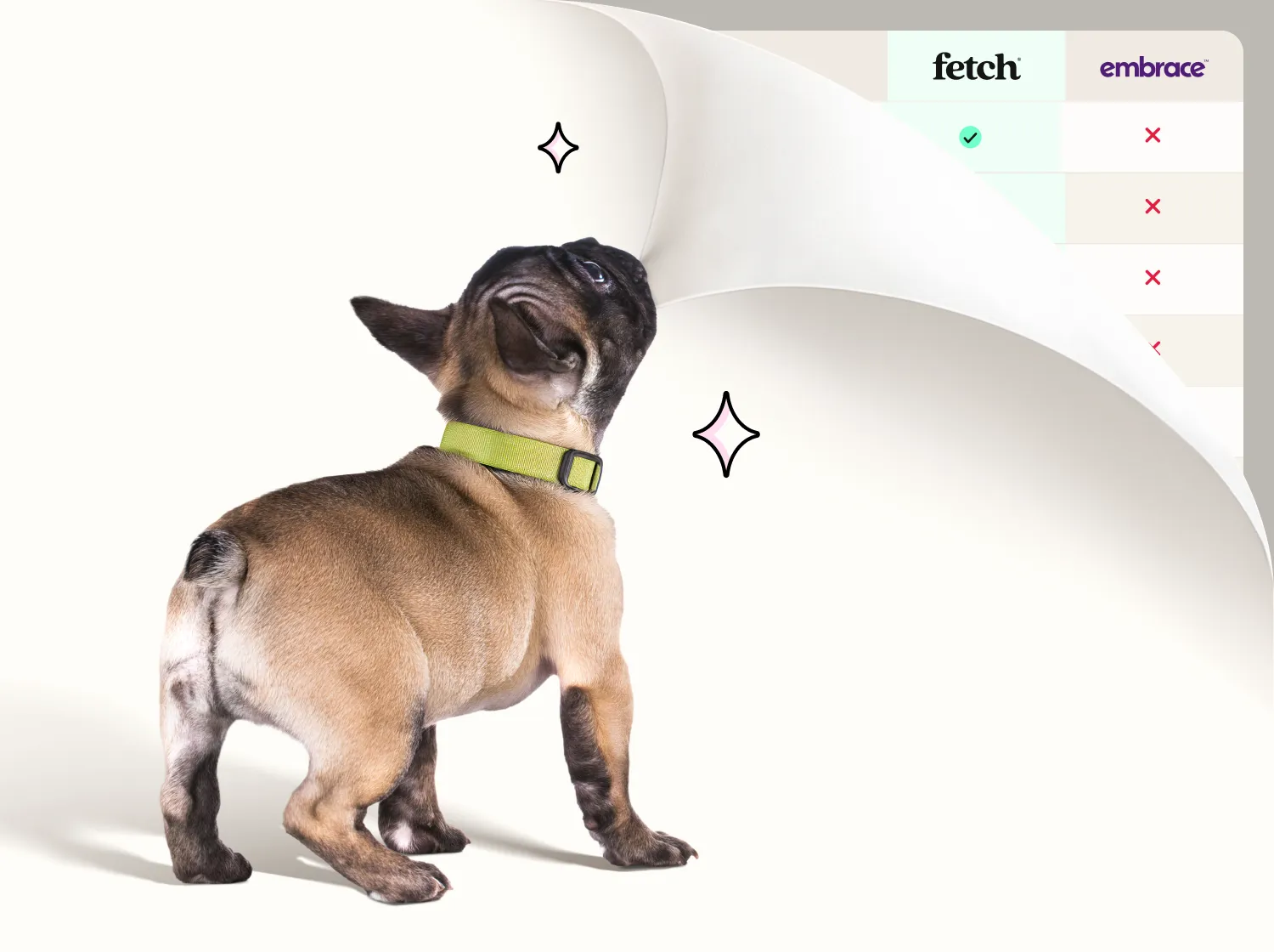 A small dog biting the corner of the screen and pulling it back to reveal a comparison chart.