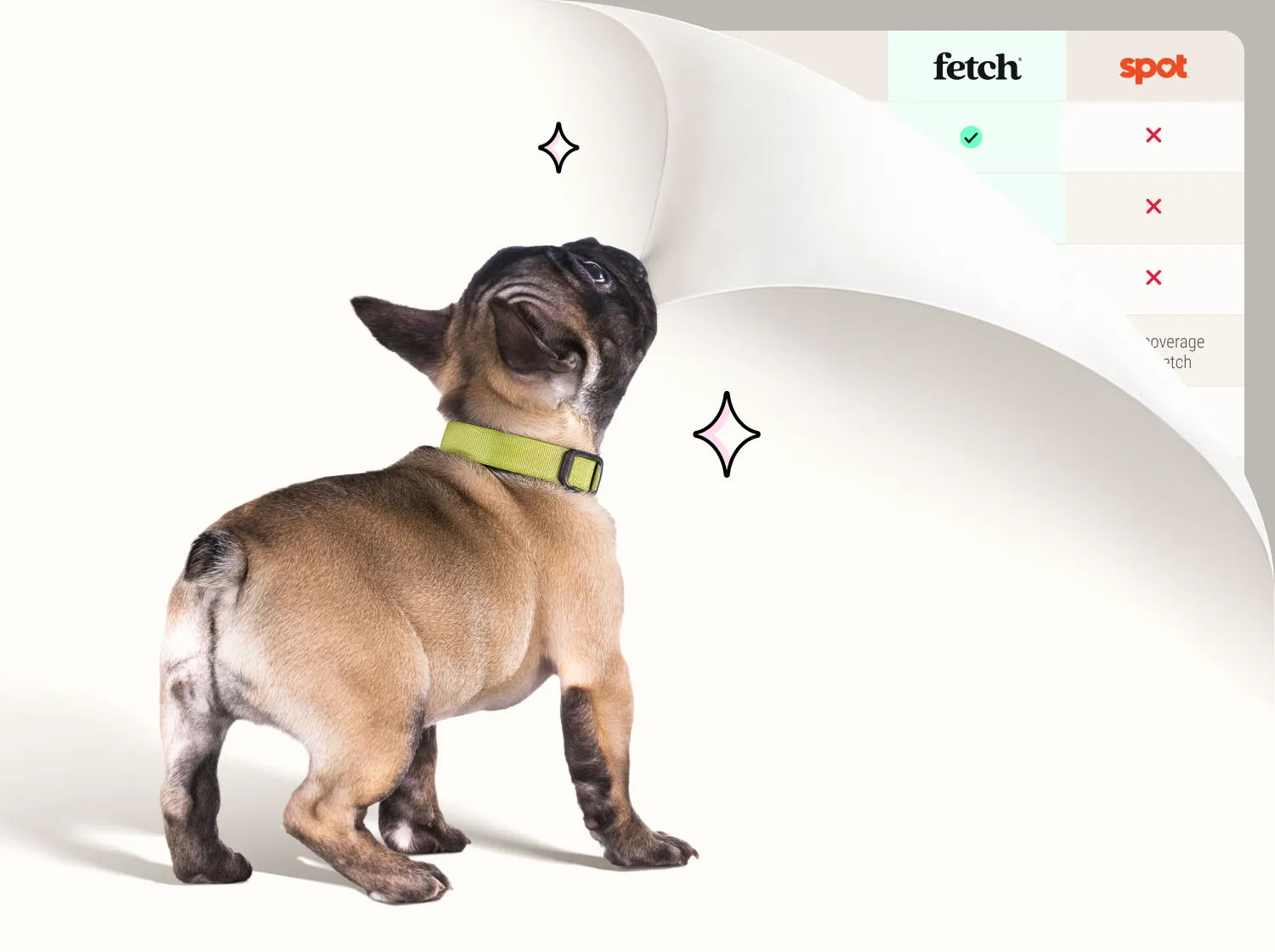 A small dog biting the corner of the screen and pulling it back to reveal a comparison chart.