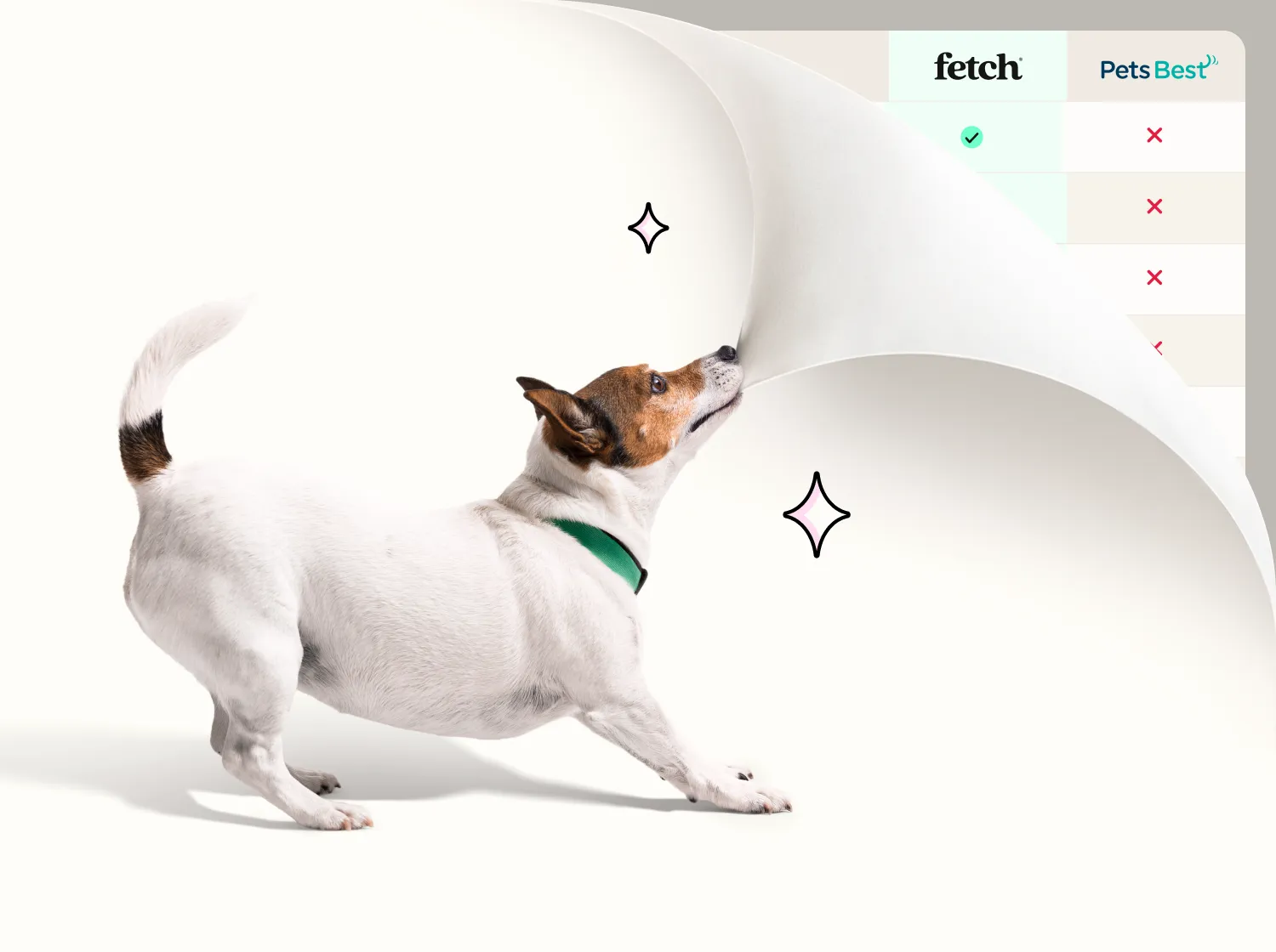A small dog biting the corner of the screen and pulling it back to reveal a comparison chart.
