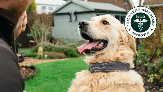 Fetch Veterinary Board Approved