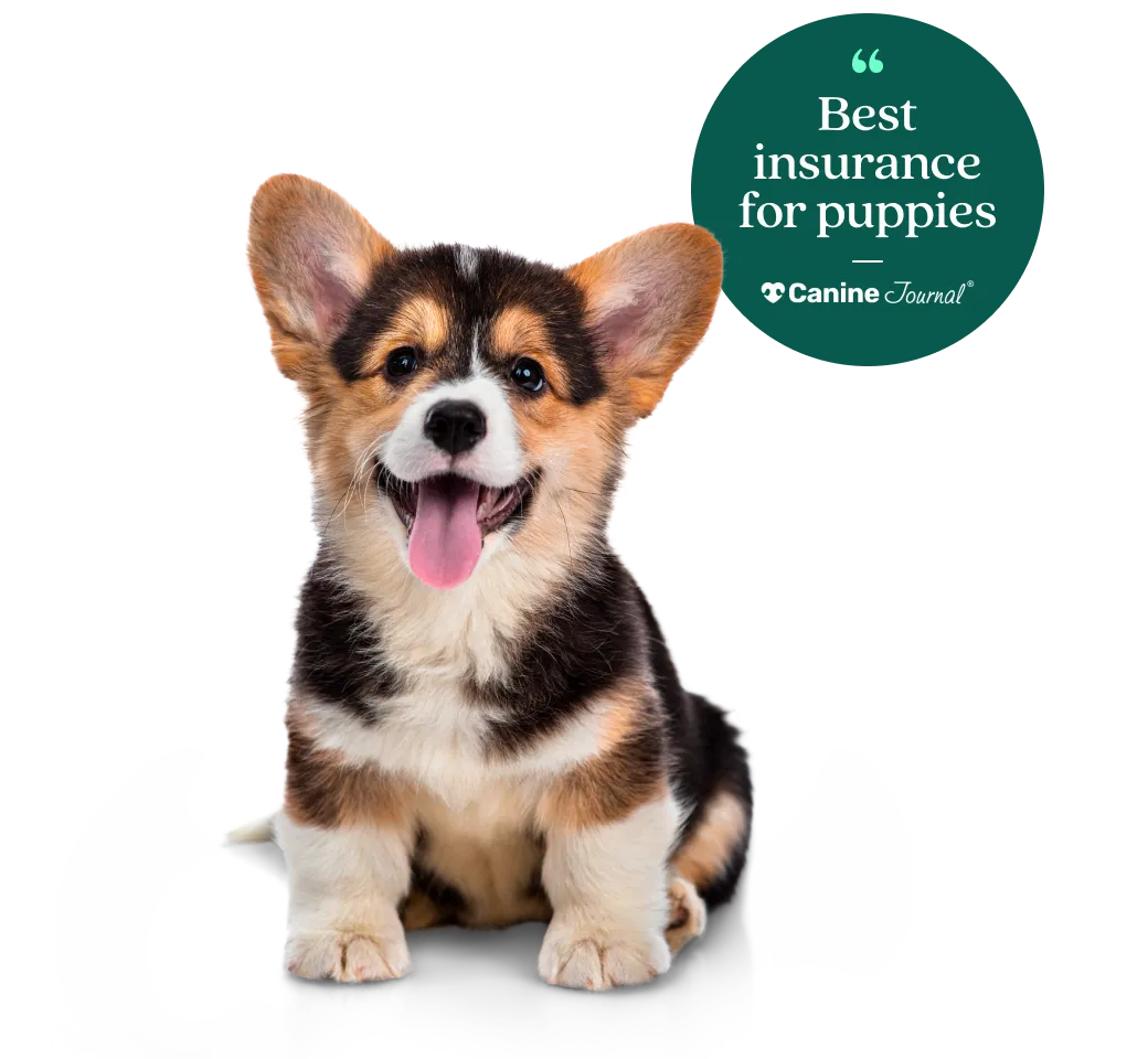 "Best insurance for puppies" according to Canine Journal.