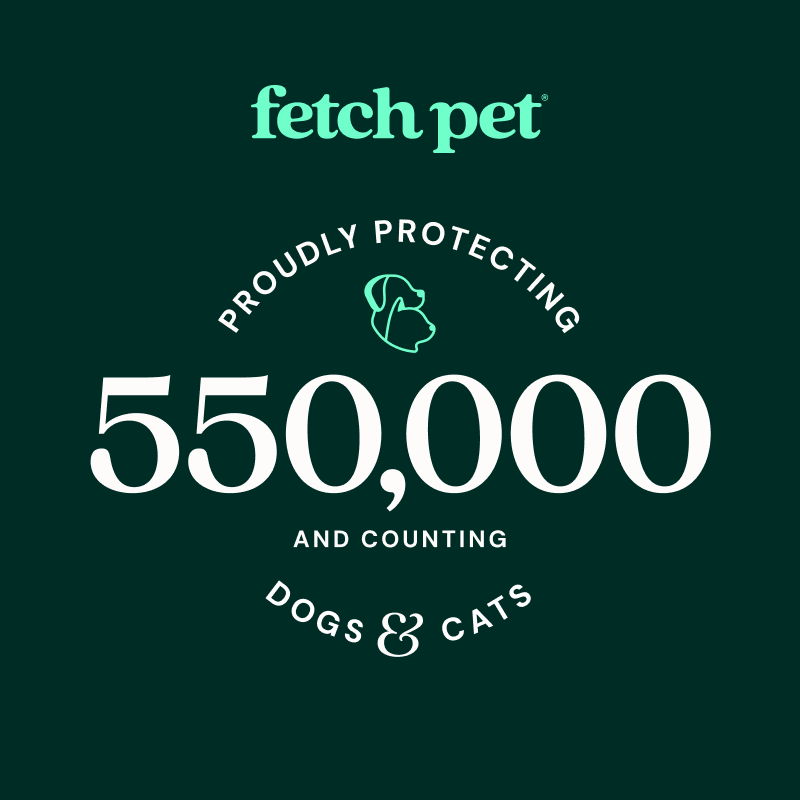 Fetch Pet Insurance protects 550k+ dogs & cats
