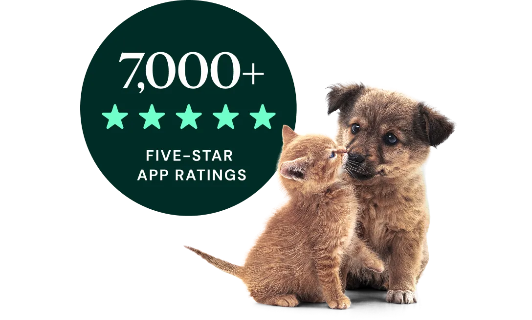 7,000+ five star app ratings