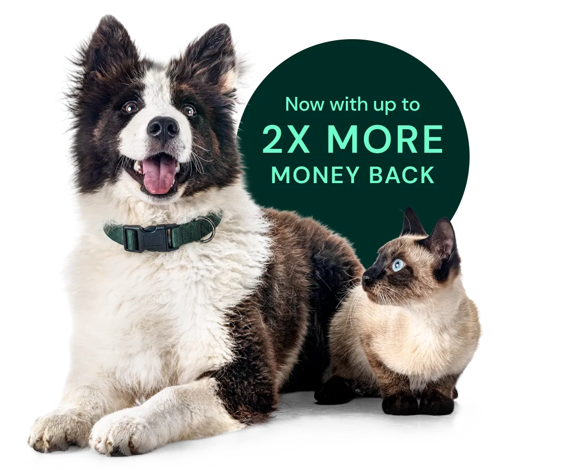Now with up to 2x more money back.