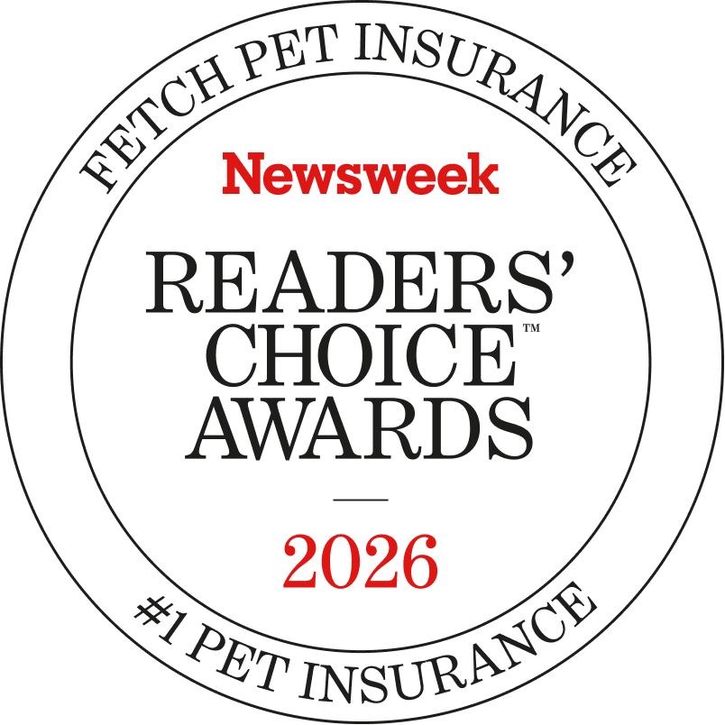 Fetch Pet Insurance named #1 pet insurance in the Newsweek Readers' Choice Awards 2026